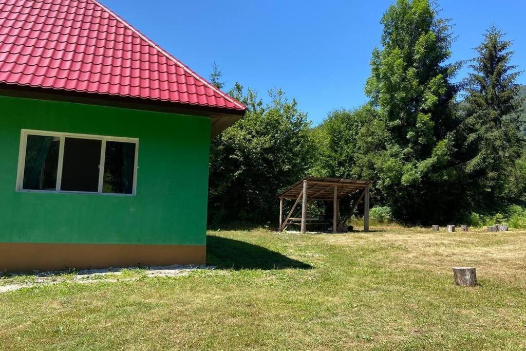 The Green House - Apuseni Mountains Pietroasa  Extérieur photo